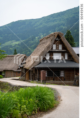 [富山縣] Echinaka Gokayama Ainokura Gassho-zukuri Village 90449436
