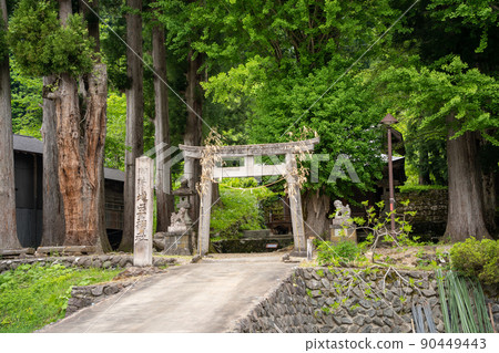 [富山縣] Echinaka Gokayama Ainokura Gassho-zukuri Village 90449443
