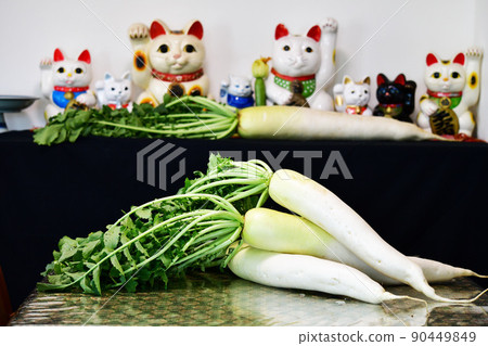長蘿蔔供品。收成。葉子也很好吃。果菜園。圖片素材 90449849