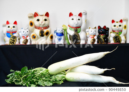 長蘿蔔供品。收成。葉子也很好吃。果菜園。圖片素材 長蘿蔔供品。收成。葉子也很好吃。果菜園。圖片素材 90449850