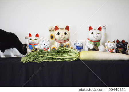 An offering of long radish. Cat is also kun. harvest. The leaves are also delicious. Kitchen garden. Image material An offering of long radish. Cat is also kun. harvest. The leaves are also delicious. Kitchen garden. Image material 90449851