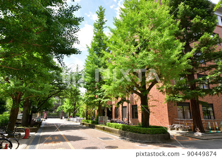 京都大學吉田校區北校區右2號樓理科校區 京都大學吉田校區北校區右2號樓理科校區 90449874
