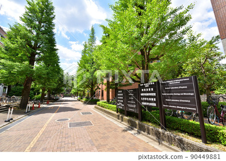 Kyoto University Yoshida Campus Northern Campus Science Campus 90449881