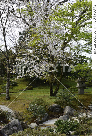 修學院皇家別墅日本庭園 90450372