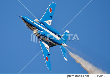 Saitama Prefecture Iruma Air Festival 90450420
