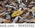 Yellow fallen leaves in dead leaves 90450502