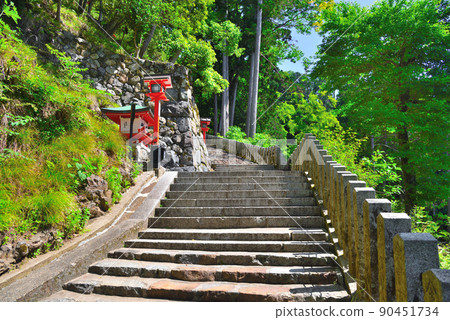 Scenery of a mountain-crossing hiking trail from Kurama-dera to Kifune Shrine Scenery of a mountain-crossing hiking trail from Kurama-dera to Kifune Shrine 90451734