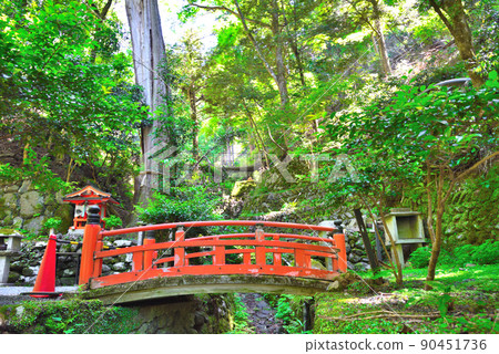 Scenery of a mountain-crossing hiking trail from Kurama-dera to Kifune Shrine Scenery of a mountain-crossing hiking trail from Kurama-dera to Kifune Shrine 90451736