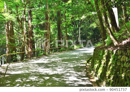 Scenery of a mountain-crossing hiking trail from Kurama-dera to Kifune Shrine Scenery of a mountain-crossing hiking trail from Kurama-dera to Kifune Shrine 90451737