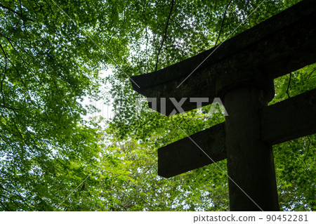 [Ishikawa Prefecture] Kinkengu Shrine 90452281