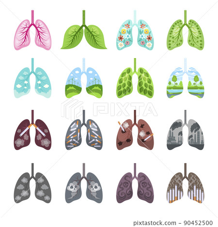 Tobacco lungs. Unhealthy damaged organism clear and healthy respiration systems recent vector templates pictures set 90452500