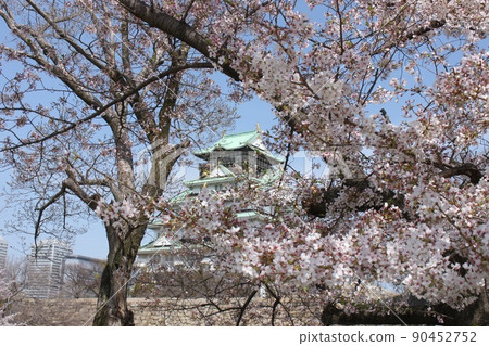 Osaka castle and cherry blossom scenery Osaka castle and cherry blossom scenery 90452752