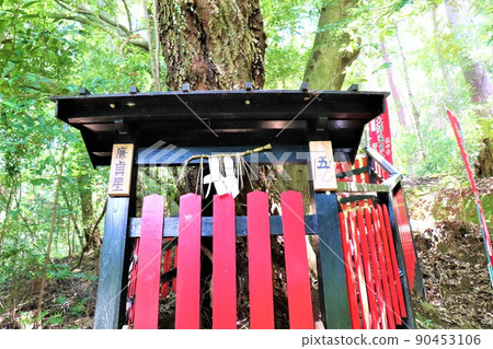 高野山真言宗遺址本山觀心寺 高野山真言宗遺址本山觀心寺 90453106