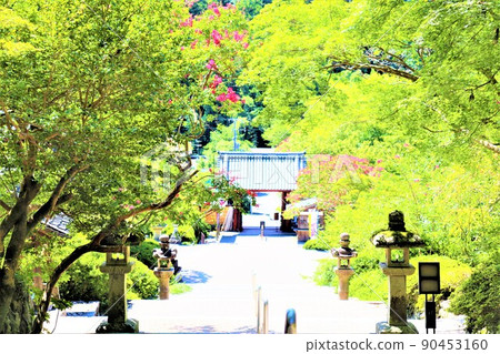 Koyasan Shingon sect ruins Motoyama Kanshinji 90453160