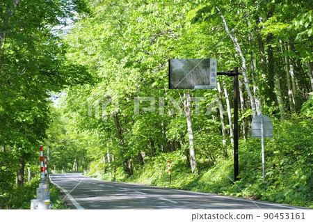 Scenery of Iwate Spring tunnel in the forest of the flat garden plateau 90453161