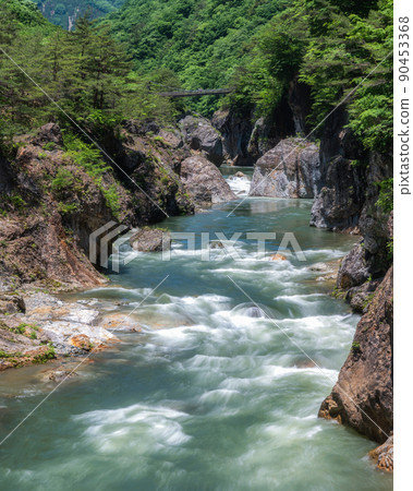 Nikko City, Tochigi Prefecture Fresh green Ryuokyo Nikko City, Tochigi Prefecture Fresh green Ryuokyo 90453368