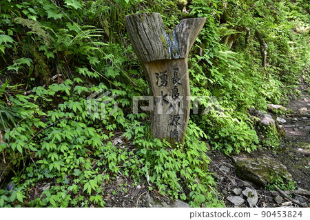 Nagara River headwater spring Nagara River headwater spring 90453824
