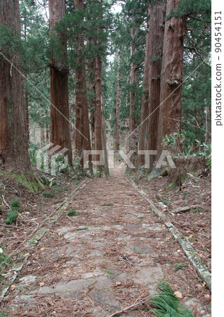 Hakuroyama 90454151