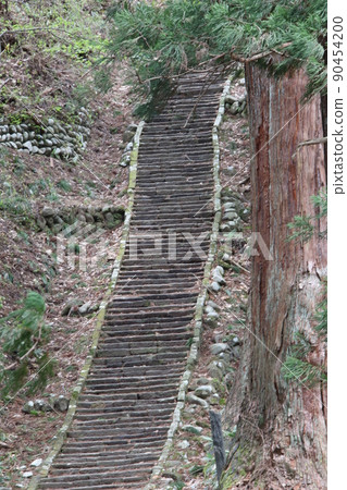 Hakuroyama Hakuroyama 90454200