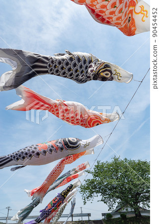 Carp streamer Carp streamer 90454452