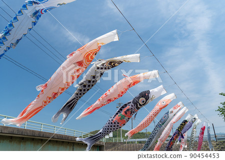    Carp streamer 90454453