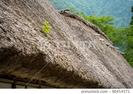 [Toyama Prefecture] Echinaka Gokayama Suganuma Gassho-zukuri Village 90454571