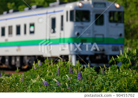 A train on the Sekihoku Main Line and a station in Hokkaido where lupines bloom. A train on the Sekihoku Main Line and a station in Hokkaido where lupines bloom. 90455702