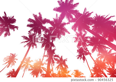 Double exposure effect of tropical coconut palm trees silhouettes isolated on white background Double exposure effect of tropical coconut palm trees silhouettes isolated on white background 90456325