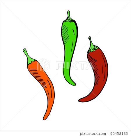 Hot peppers. Colored simple doodle. Vector clipart, isolated on white Hot peppers. Colored simple doodle. Vector clipart, isolated on white 90458183