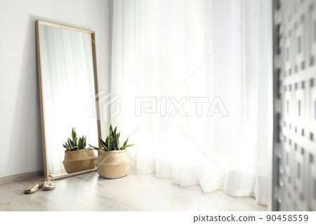 Large mirror and potted plant near window in light room Large mirror and potted plant near window in light room 90458559