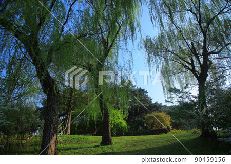 Olympic Park Spring Fragrance 90459156