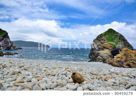 Amami Oshima Honohoshi coast that spreads during the rainy season 90459279