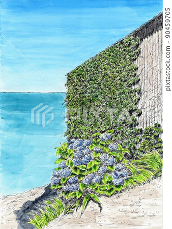 Hydrangea blooming on the beach 90459705