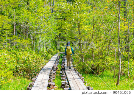 [Scenic view] Kamikochi climbers in early summer [Nagano Prefecture] 90461066