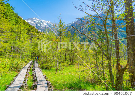 [Scenic view] Kamikochi climbers in early summer [Nagano Prefecture] 90461067