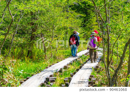 [風景]初夏的上高地登山者[長野縣] 90461068