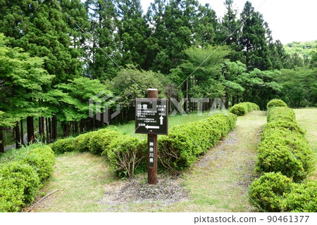 Hakone Town Otamagaike Road Signpost and Walking Path and Fresh Green Hakone Town Otamagaike Road Signpost and Walking Path and Fresh Green 90461377