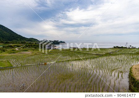 Scenery of Sodeshi rice terraces after rice planting in Kyotango City, Kyoto Prefecture 90461477