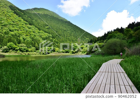 箱根町Otamagaike，步行道，二子山和新鮮的綠色 90462052