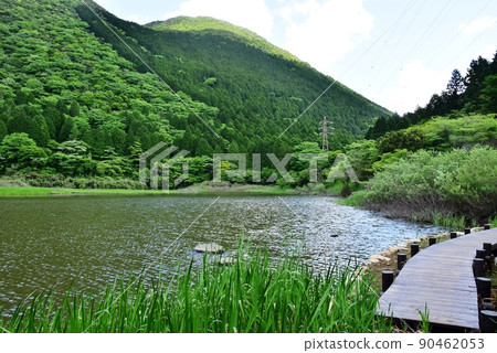 箱根町Otamagaike，步行道，二子山和新鮮的綠色 90462053