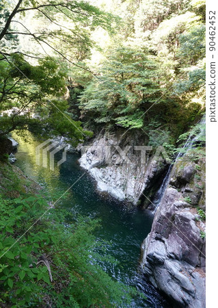 三峽新鮮的綠色 90462452