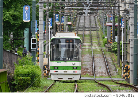 <Tokyo> Tokyo Sakura Tram (Toden-Arakawa Line) Gakushuinshita <Tokyo> Tokyo Sakura Tram (Toden-Arakawa Line) Gakushuinshita 90463812
