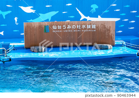 Aquarium scenery Jumping dolphins and splashes Sendai Uminomori Aquarium (Sendai City, Miyagi Prefecture) 90463944