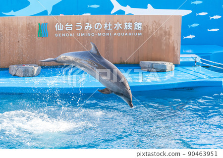 水族館風景跳躍的海豚和飛濺的仙台海之森水族館（宮城縣仙台市） 90463951