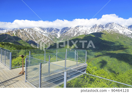 絕景露台“白馬山港”新鮮的綠色 絕景露台“白馬山港”新鮮的綠色 90464128