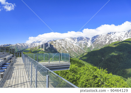 Superb view terrace "Hakuba Mountain Harbor" Fresh green 90464129