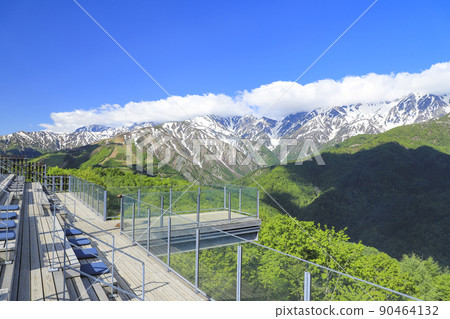 絕景露台“白馬山港”新鮮的綠色 絕景露台“白馬山港”新鮮的綠色 90464132