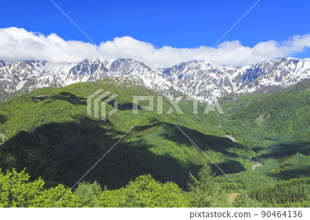 Hakuba Iwatake Mountain Resort Fresh green trekking Hakuba Iwatake Mountain Resort Fresh green trekking 90464136