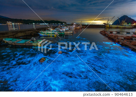 Noctiluca that shines fantastically in the port town 90464613