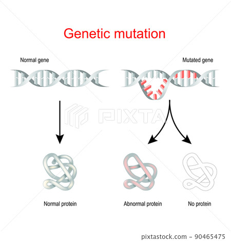 Genetic mutation. Normal gene and Mutated DNA. 90465475